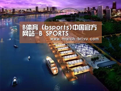 案例展示八