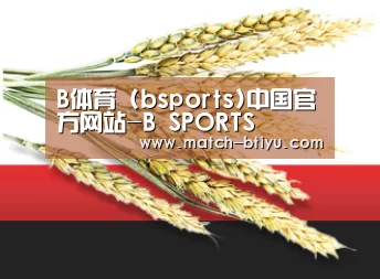 B体育 (bsports)中国官方网站-B SPORTS