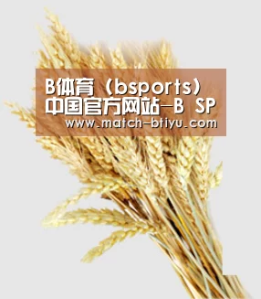 B体育 (bsports)中国官方网站-B SPORTS