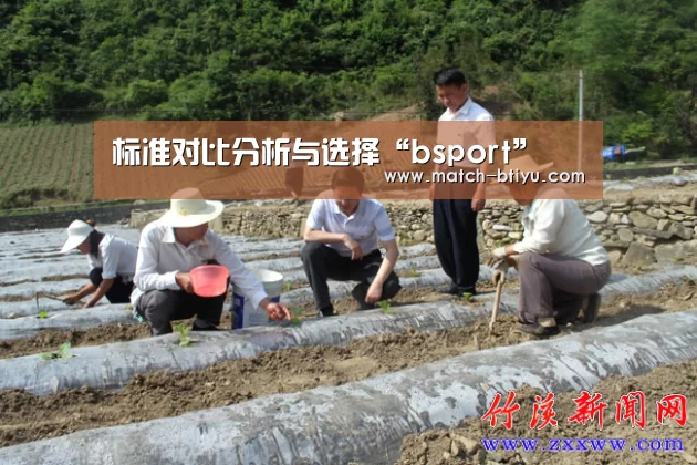标准对比分析与选择“bsport”(图1) bsport中国官网